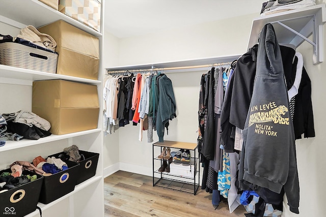 walk in closet featuring wood finished floors