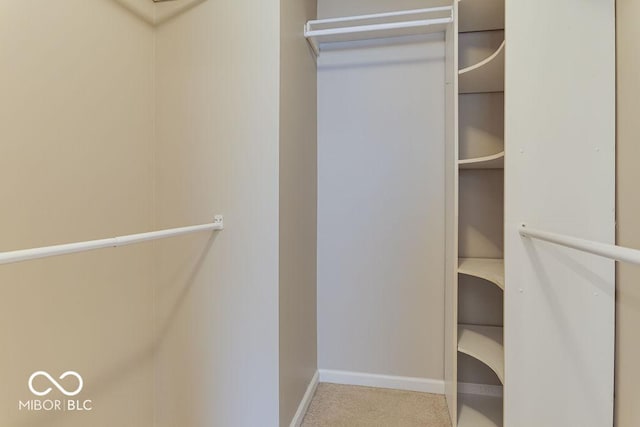 walk in closet with carpet