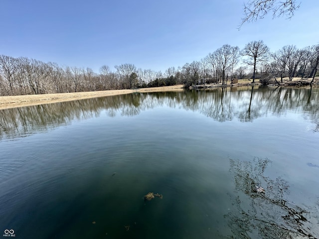 view of water feature