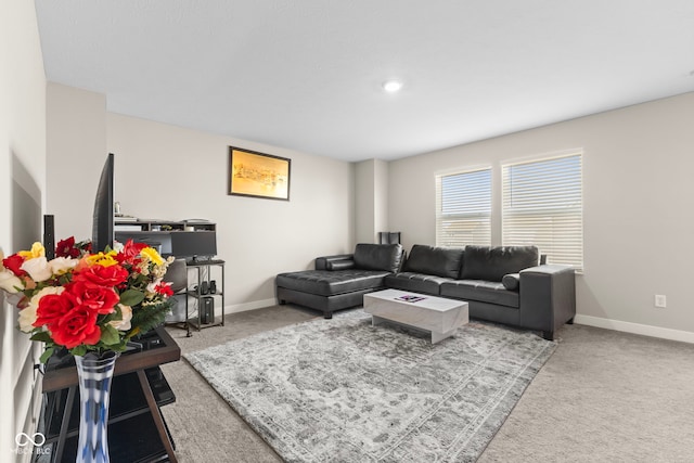 living area with baseboards and carpet floors