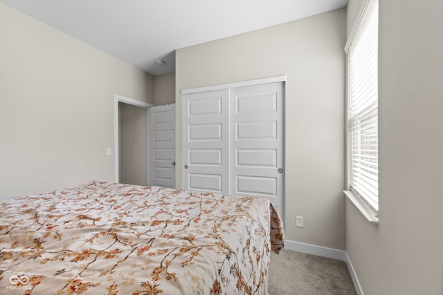 bedroom featuring carpet flooring, multiple windows, baseboards, and a closet