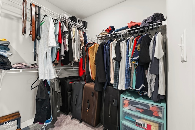 spacious closet with carpet flooring