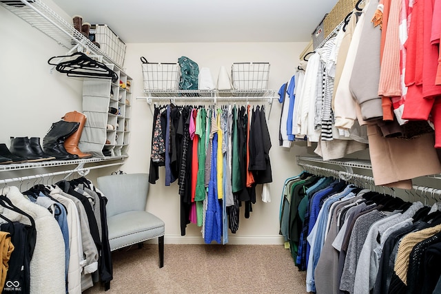 spacious closet featuring carpet