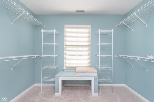 spacious closet featuring visible vents and carpet flooring