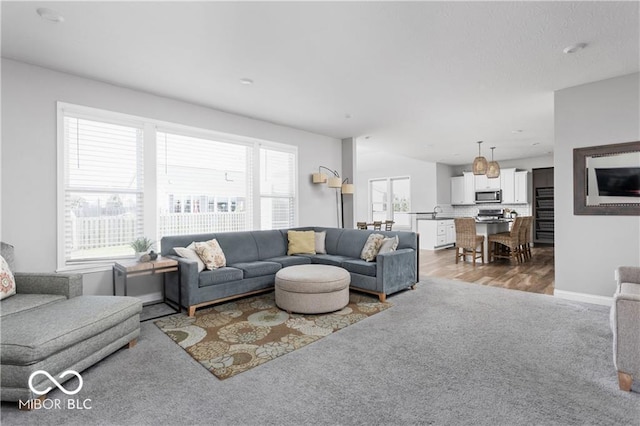 living room featuring baseboards and carpet flooring