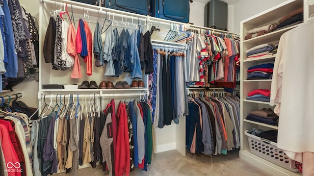 spacious closet featuring carpet