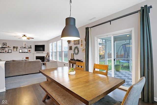 dining room with dark wood finished floors, visible vents, a fireplace, and ceiling fan