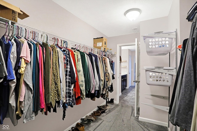 view of spacious closet