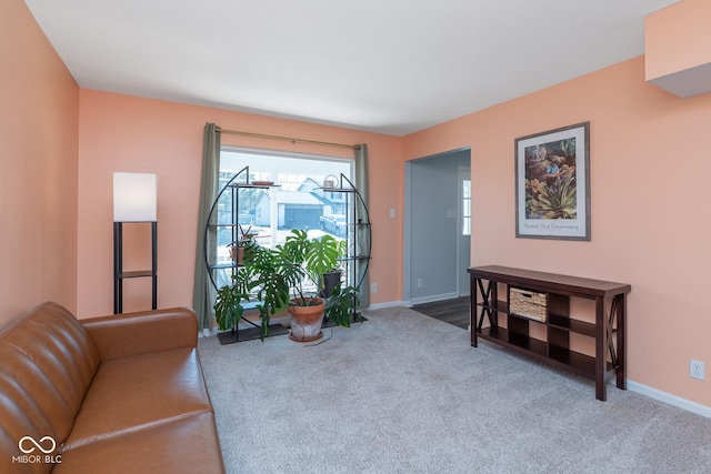 interior space with baseboards and carpet floors