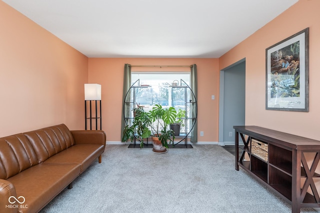 living room with baseboards and carpet floors