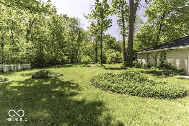 6204 S Madison Ave, Indianapolis, IN 46227 - view of yard