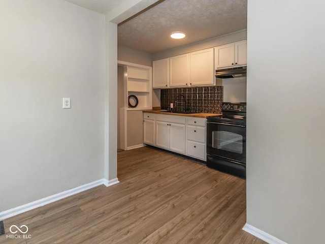 kitchen featuring under cabinet range hood, a sink, tasteful backsplash, black / electric stove, and light wood-style floors