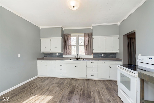 kitchen featuring baseboards, white electric range oven, wood finished floors, white cabinetry, and a sink