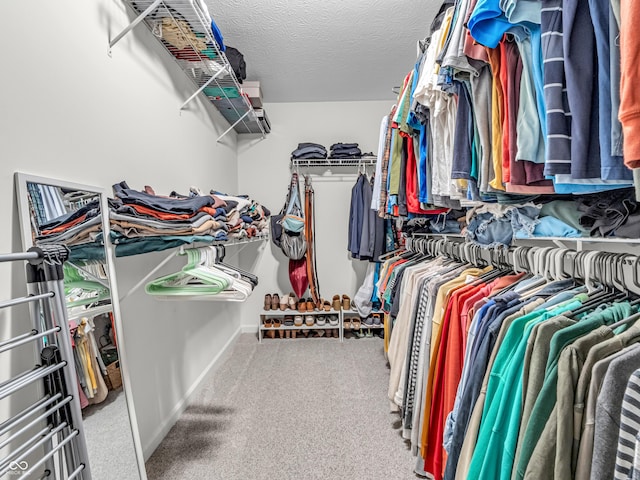 walk in closet featuring carpet