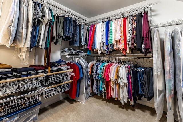 spacious closet with carpet floors