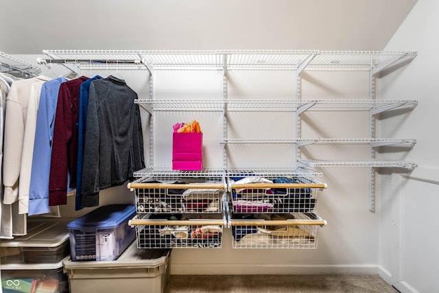 spacious closet featuring carpet flooring