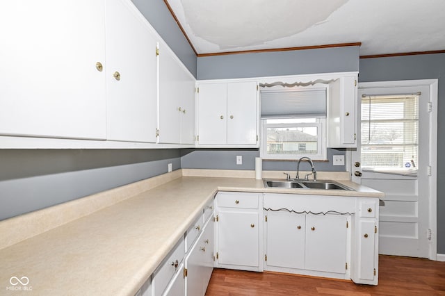 kitchen with white cabinetry, crown molding, wood finished floors, and a sink