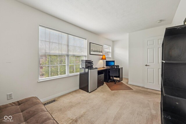 3052 Skylar Ln, Indianapolis, IN 46208 - photo 29