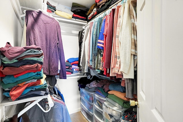 view of spacious closet