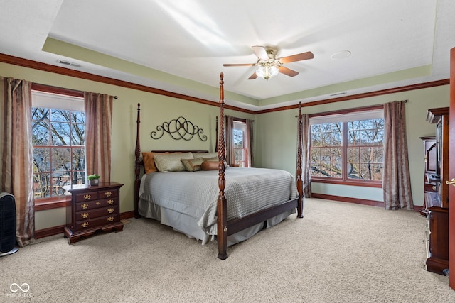 bedroom with a raised ceiling, multiple windows, and carpet