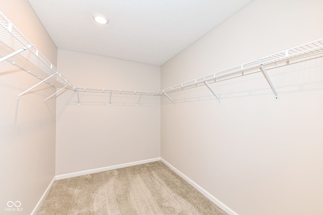 spacious closet featuring light colored carpet