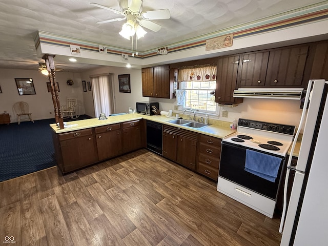 kitchen featuring extractor fan, dark brown cabinetry, dark wood-style floors, black appliances, and a sink