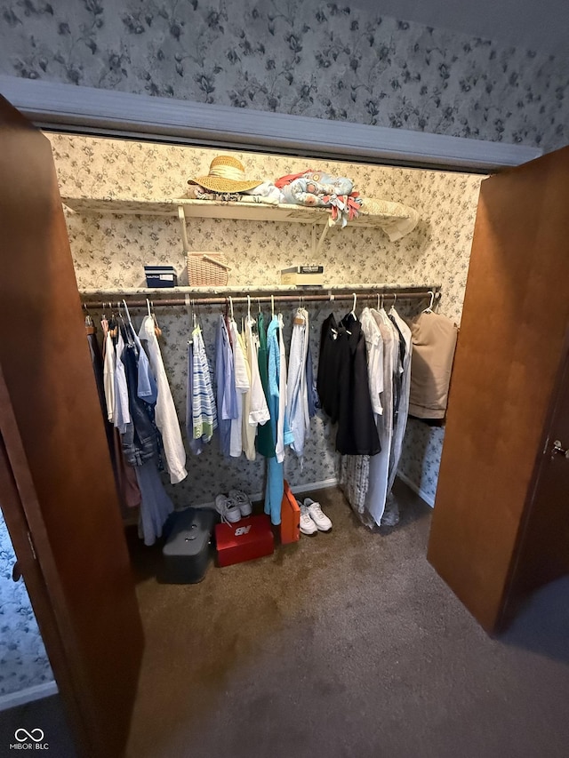 spacious closet with carpet floors