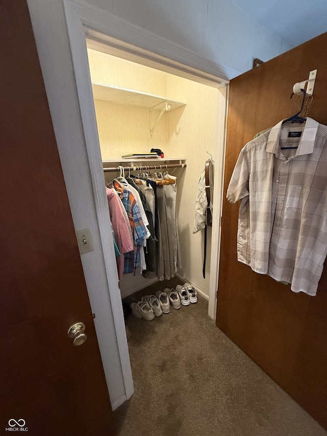 walk in closet featuring carpet flooring