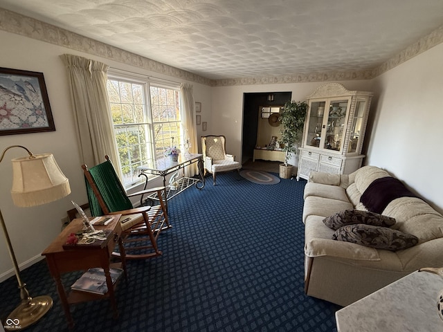 living area with dark carpet