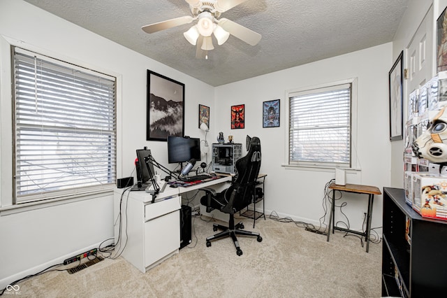 office area with plenty of natural light, light colored carpet, and a textured ceiling