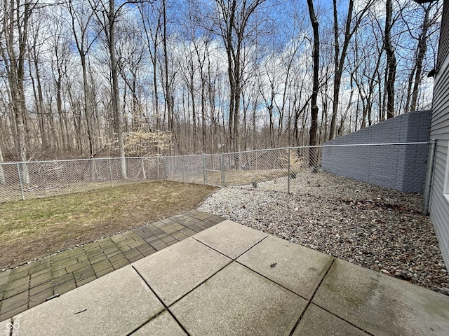 view of yard with a fenced backyard and a patio area