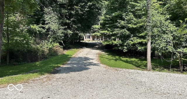 view of road featuring gravel driveway and a forest view