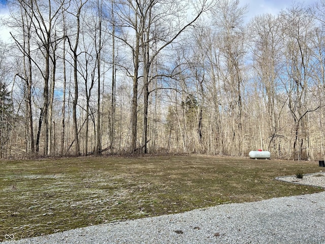 view of yard featuring a wooded view