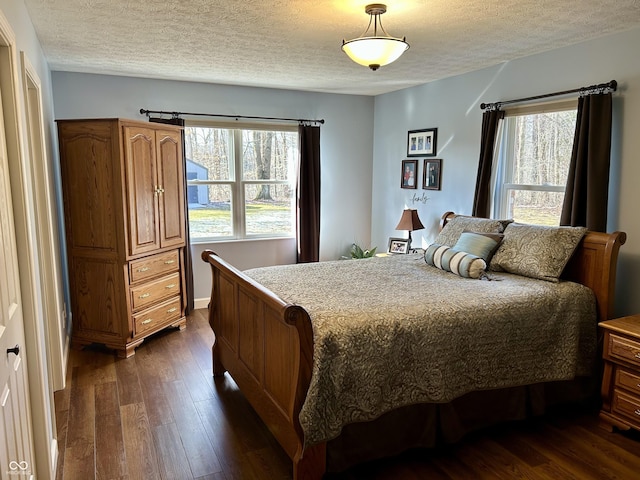 bedroom featuring dark wood finished floors, multiple windows, and a textured ceiling