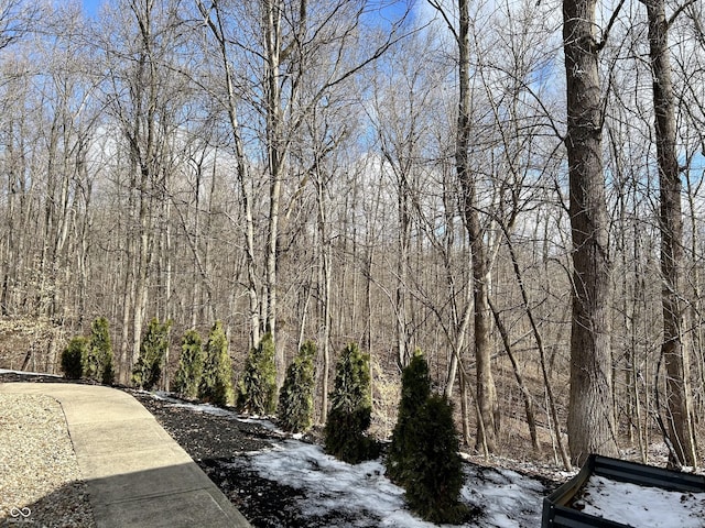 view of yard featuring a view of trees