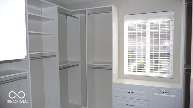 view of walk in closet