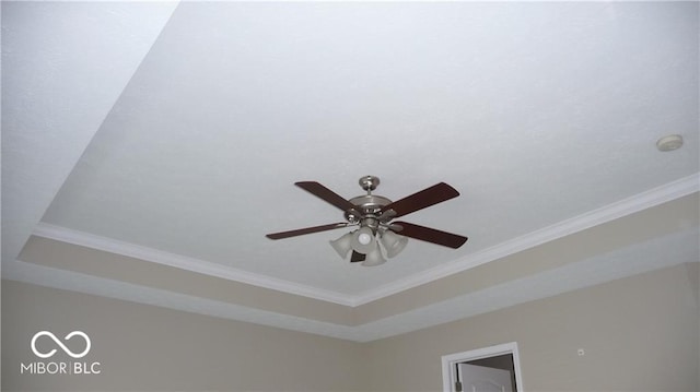 details featuring a tray ceiling, crown molding, and a ceiling fan