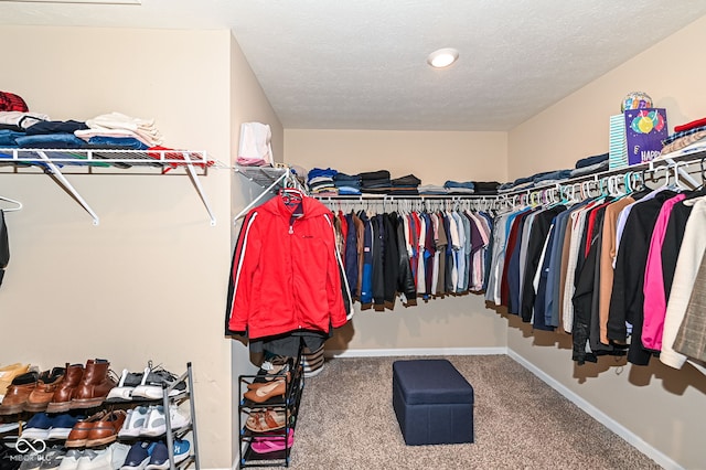 walk in closet featuring carpet floors