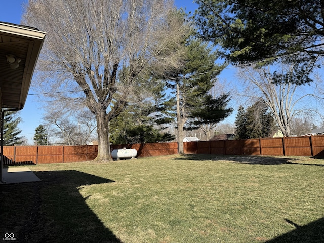 view of yard featuring a fenced backyard