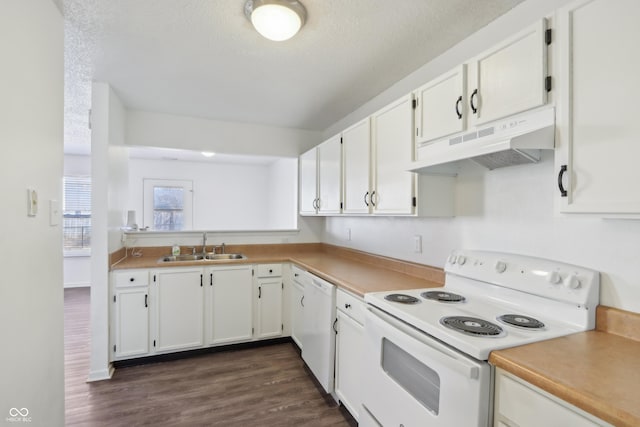 kitchen featuring under cabinet range hood, a sink, dark wood finished floors, white cabinetry, and white appliances