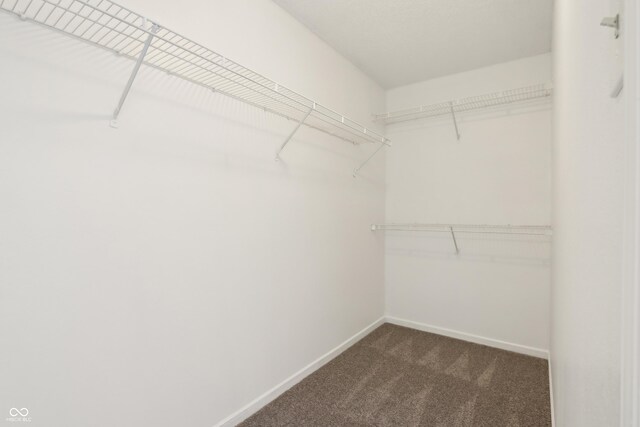 spacious closet featuring dark carpet