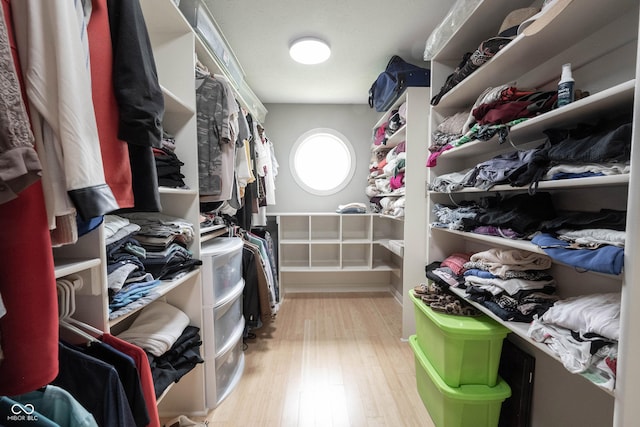 spacious closet featuring wood finished floors