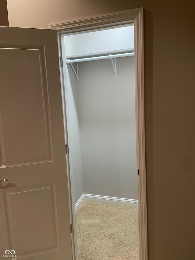 view of closet