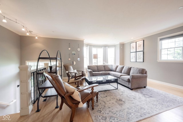 living area with plenty of natural light, light wood-style floors, and ornamental molding