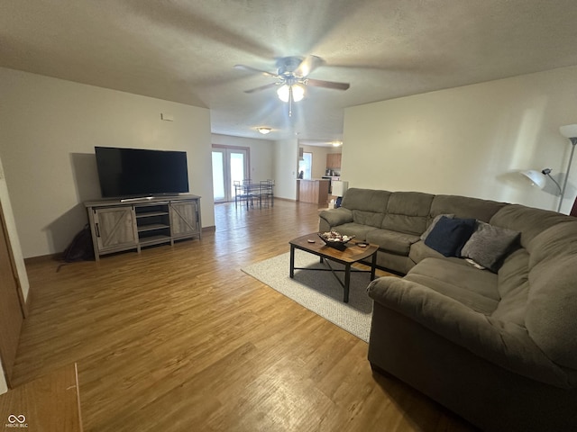 8 Gladiator Dr, Waynetown, IN 47990 - living area featuring ceiling fan and light wood-style floors