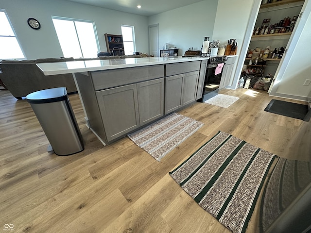 kitchen with light wood finished floors, gray cabinets, a kitchen island, and light countertops