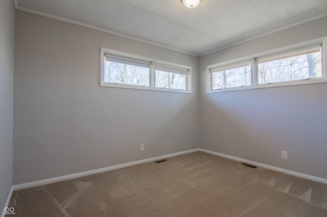 spare room with crown molding, carpet flooring, baseboards, and a wealth of natural light