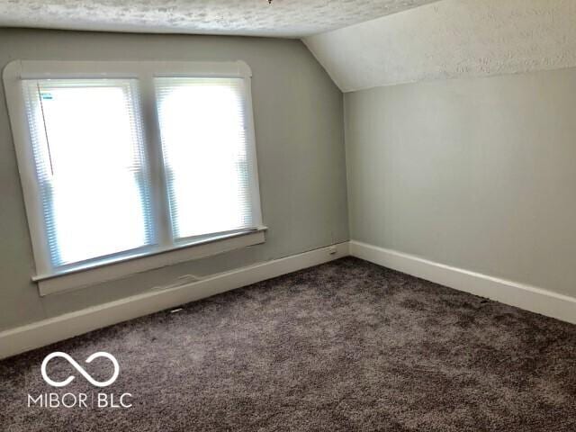 bonus room with baseboards, a textured ceiling, lofted ceiling, and carpet