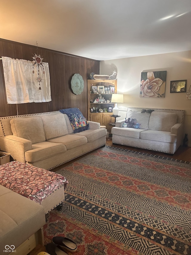 living area with wooden walls