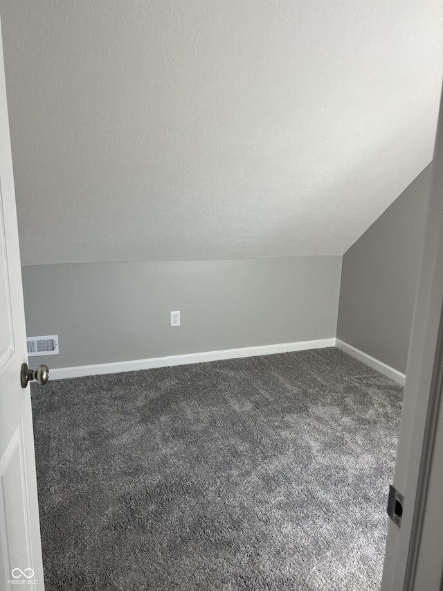 additional living space with carpet, visible vents, baseboards, lofted ceiling, and a textured ceiling